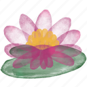 flower, leaf, colourful, illustration, floral, decoration, painting, water lily, brush
