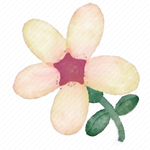 Daffodil flower, leaf, colourful, drawing, illustration, floral, decoration icon - Download on Iconfinder