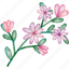 geranium, flower, leaf, colourful, illustration, floral, decoration, plant, painting 