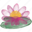 flower, leaf, colourful, illustration, floral, decoration, painting, water lily, brush 