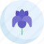 iris, flowers, flower, farming, gardening, botanical, plant, petals, nature 