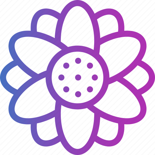 Aster, flowers, plant, botanical, blossom, petals, nature icon - Download on Iconfinder