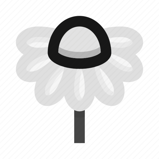 Flower, spring, camomile, daisy, tea, easter icon - Download on Iconfinder