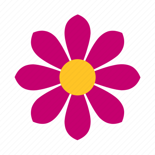 Bloom, blooming, daisy, floral, flower, nature, plant icon - Download on Iconfinder