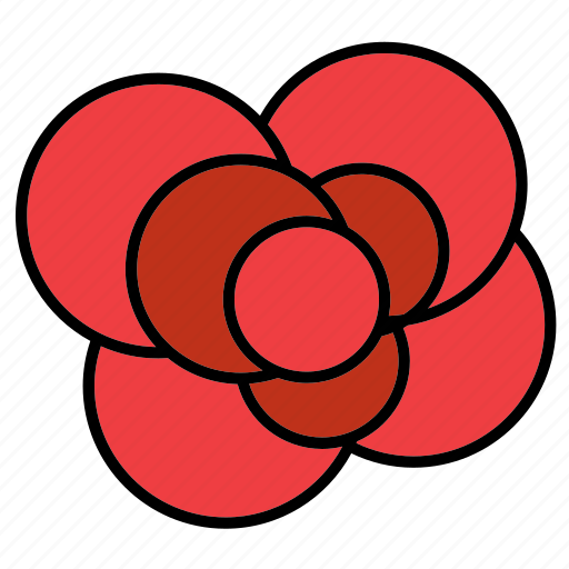 Abstract, bloom, floral, flower, nature, rose, shape icon - Download on Iconfinder