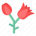 flowers, flora, blossom, botanical tulips, red tulips 