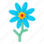 flower, flora, blossom, lilium, lily flower 