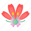 flower, flora, blossom, hibiscus, sinensis 
