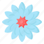flower, flora, blossom, jamesonii, gerbera flower 
