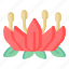 flower, flora, blossom, african lotus, water lily 