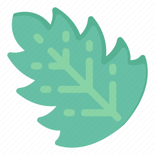 Oak leaf, leaflet, leaf, nature, foliage icon - Download on Iconfinder