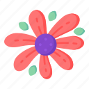 flower, flora, blossom, gazania flower, gazania 
