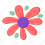 flower, flora, blossom, gazania flower, gazania 