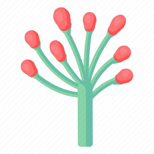Flower, blossom, sundew, insectivorous, carnivorous plant icon - Download on Iconfinder