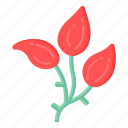 flowers, flora, blossom, botanical tulips, red tulips 