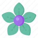 flower, flora, blossom, apocynaceae flower, platycodon grandiflorus