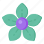 flower, flora, blossom, apocynaceae flower, platycodon grandiflorus 