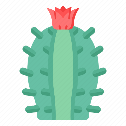 Cacti, cactus, prickly plant, desert plant, cactaceae icon - Download on Iconfinder
