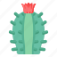 cacti, cactus, prickly plant, desert plant, cactaceae 