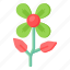 flower, flora, blossom, beautiful flower, britannica helleborus 