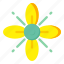 flower, flora, blossom, yellow flower, yellow pimpernel 