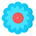 flower, flora, blossom, blue calendula, blooming flower