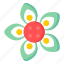 flower, flora, blossom, blooming flower, gonolobus reticulatus 