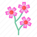 flowers, flora, blossom, potentilla, pink cinquefoil 