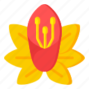 flower, flora, blossom, yellow hibiscus, sinensis 