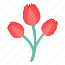 flowers, flora, blossom, red tulips, beautiful flowers 