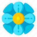 flower, flora, blossom, nature, blue buttercup