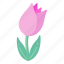 flower, flora, blossom, botanical tulip, pink tulip 