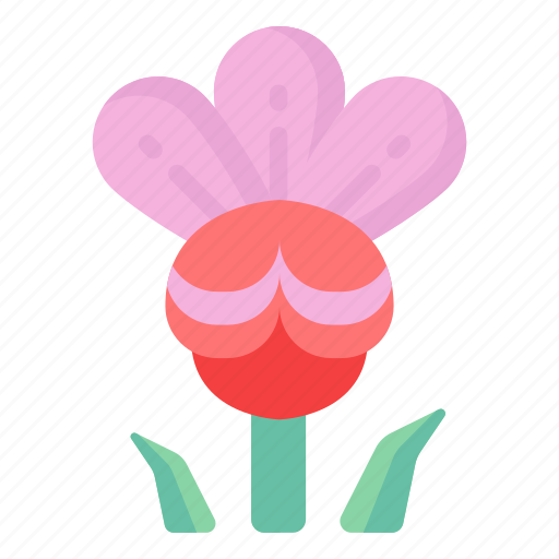 Flower, flora, blossom, blooming flower, cannonball flower icon - Download on Iconfinder