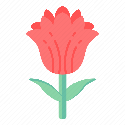 Flower, flora, blossom, red rose, beautiful flower icon - Download on Iconfinder