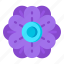 flower, flora, blossom, purple anemone, spring flower 