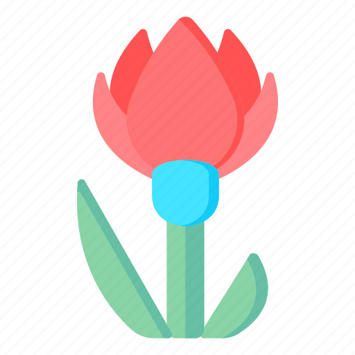 Flower, flora, blossom, albanica tulip, red flower icon - Download on Iconfinder