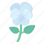 flower, flora, blossom, white flower, philadelphus flower 