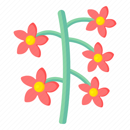 Flowers, flora, blossom, nature, dianthus pavonius icon - Download on Iconfinder