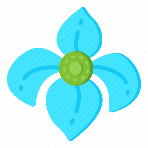 Flower, flora, blossom, houstonia caerulea, spring flower icon - Download on Iconfinder