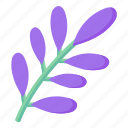 leaves, flora, blossom, stem, buds, purple leaves 