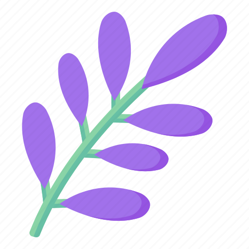 Leaves, flora, blossom, stem, buds, purple leaves icon - Download on Iconfinder