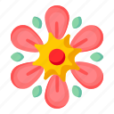 flower, flora, blossom, pentas lanceolata, anemone nemorosa 