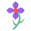 flower, wildflower, blossom, botanical flower, purple clematis 