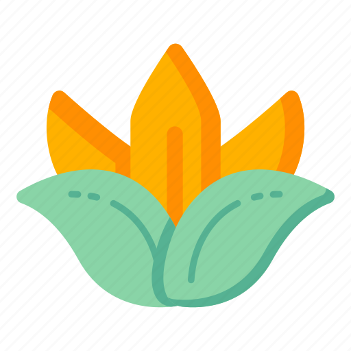 Flower, flora, blossom, orange lotus, bloom flower icon - Download on Iconfinder