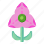 flower, flora, blossom, spring flower, pink trillium 
