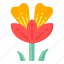 flower, flora, blossom, bearded iris, botanical flower 