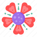 flower, flora, blossom, potentilla, red cinquefoil 
