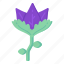 flower, purple tulip, blossom, botanical flower, flower stem 