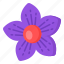 flower, flora, blossom, balloon flower, platycodon grandiflorus 