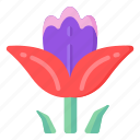 flower, flora, blossom, flowering stem, penstemon 